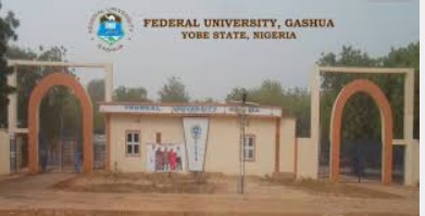 Federal University Gashua