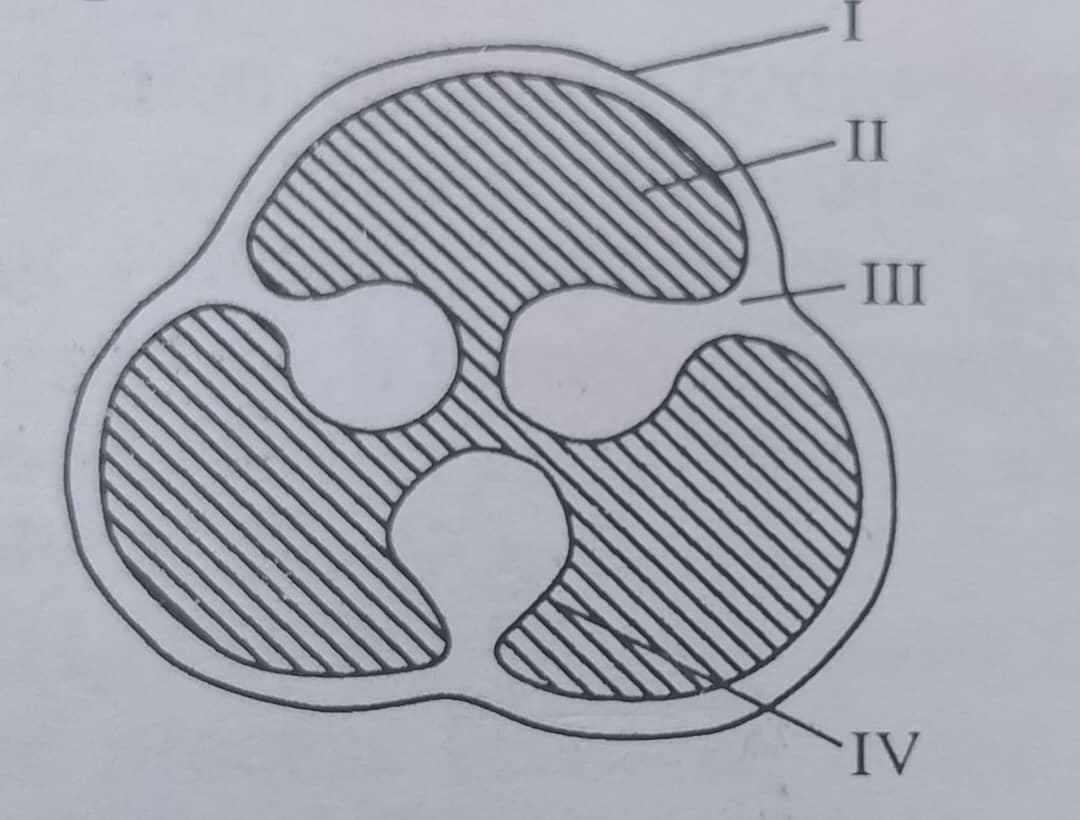 Diagram for question 2