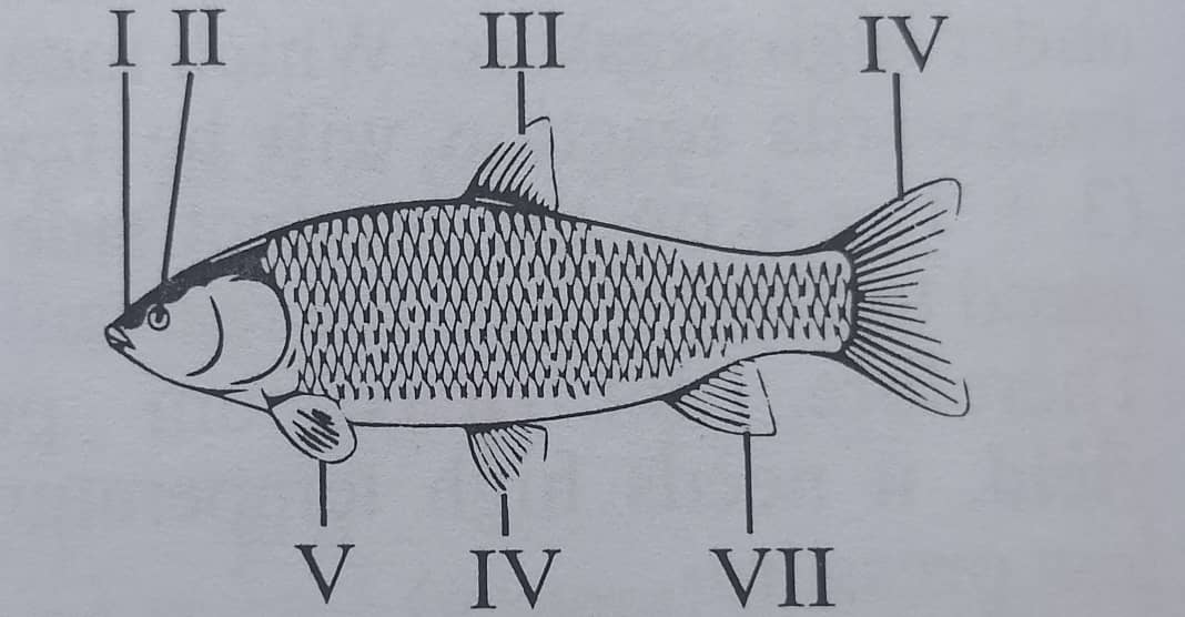 Diagram for question 37