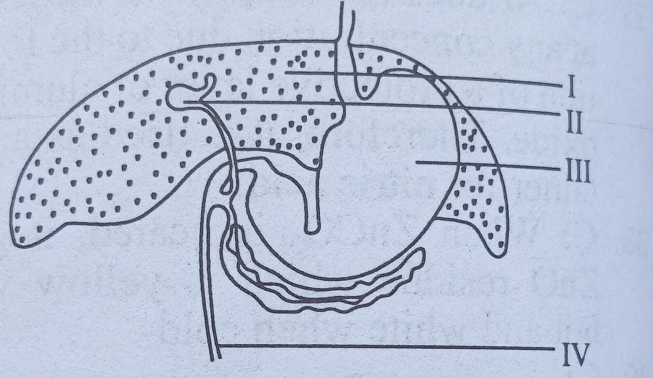 Diagram for question 38